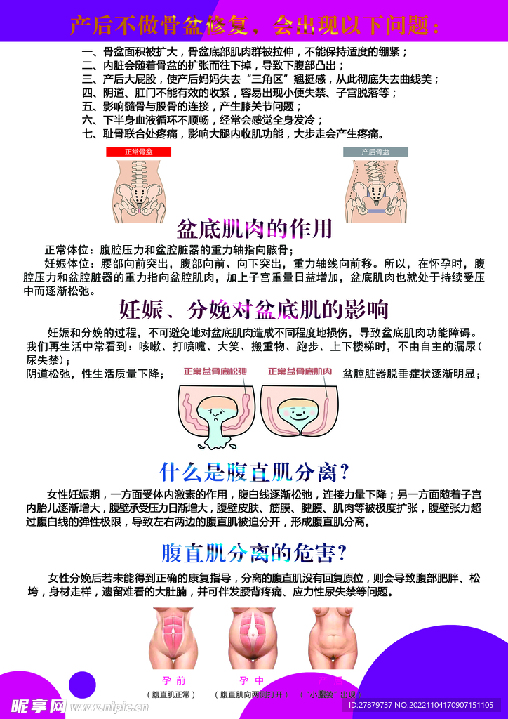 腹直肌宣传单