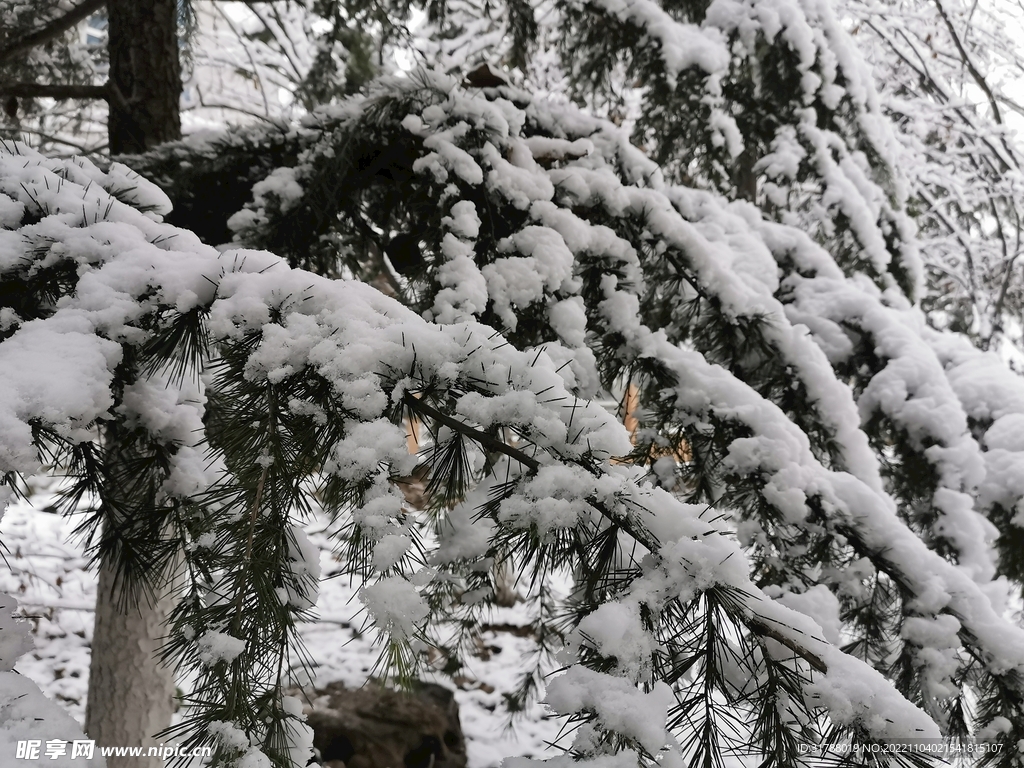 雪景