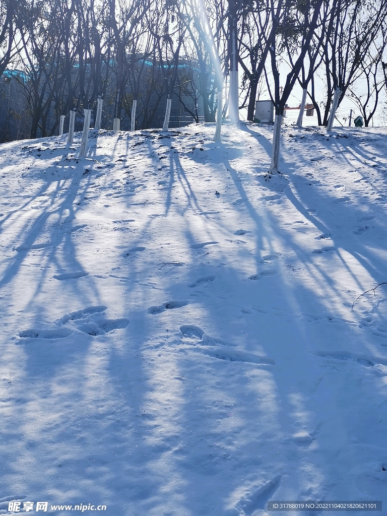 雪地上的影子