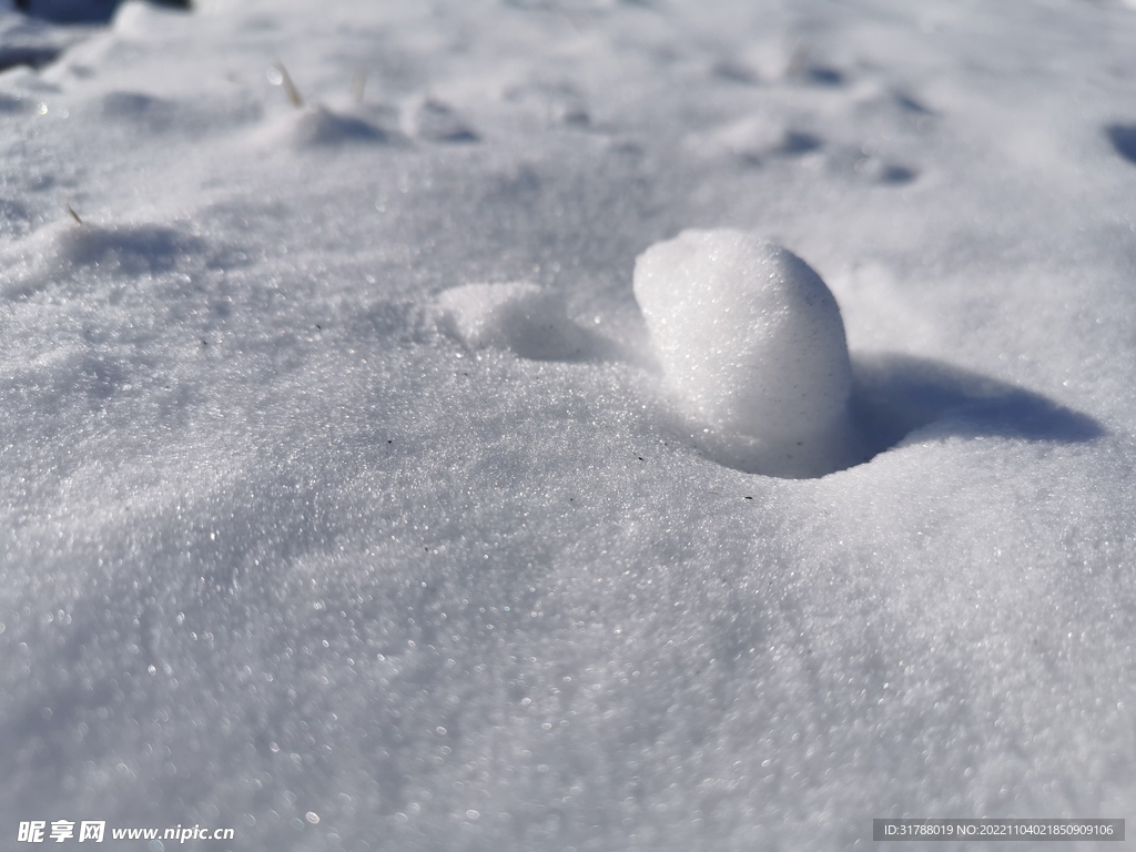 小雪球