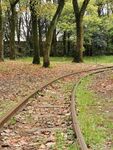 森林里的火车轨道