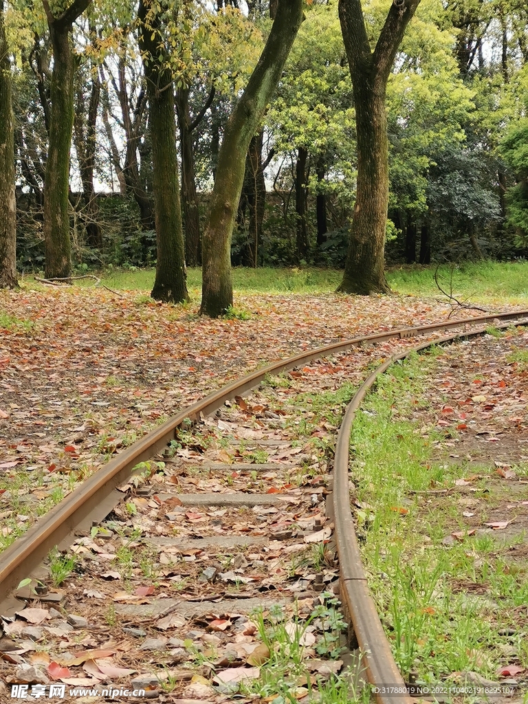 森林里的火车轨道