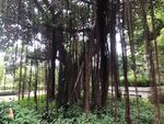 福州