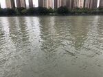 福州