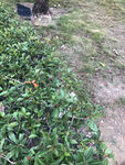 福州 