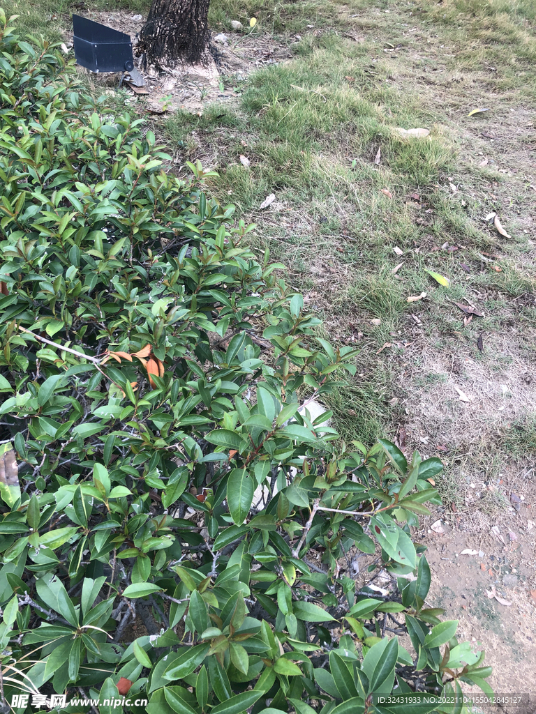 福州 