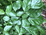 福州花海公园