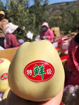 黄香蕉苹果