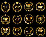 VIP图标