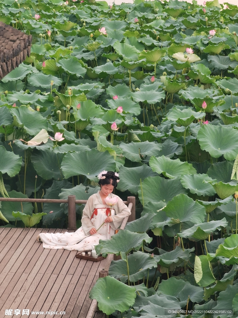 荷塘古风拍摄