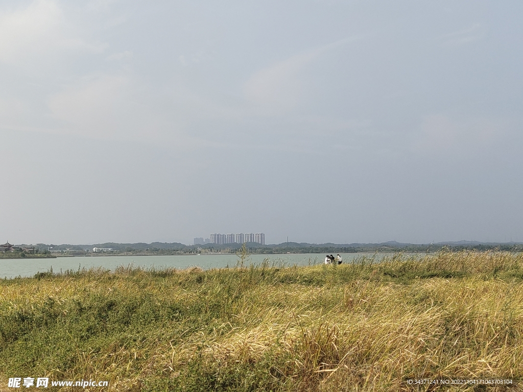 松雅湖草地