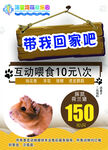 带我回家
