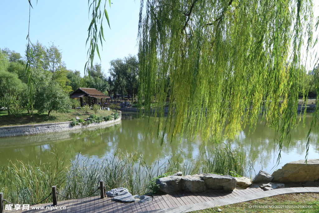 龙潭中湖风景 