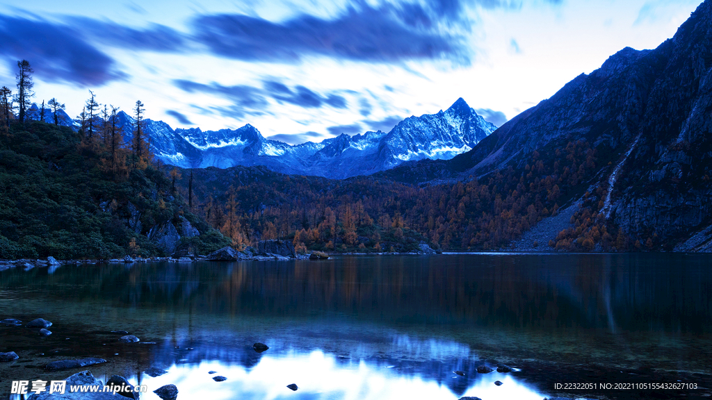 风景