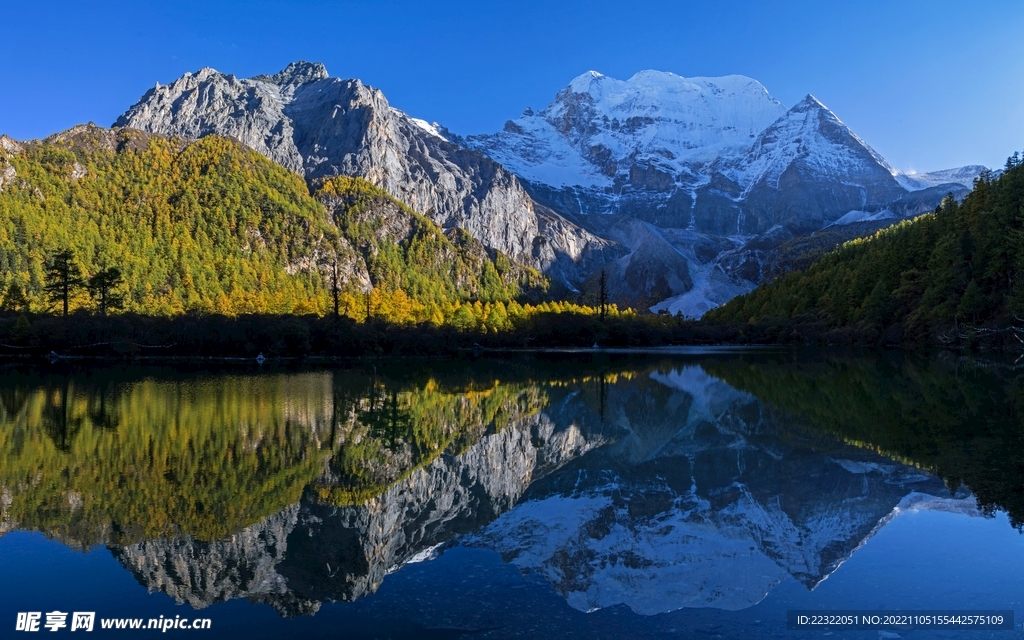 风景