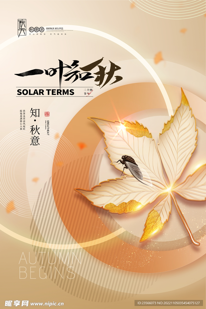 金秋创意节气海报