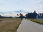 水塔马路