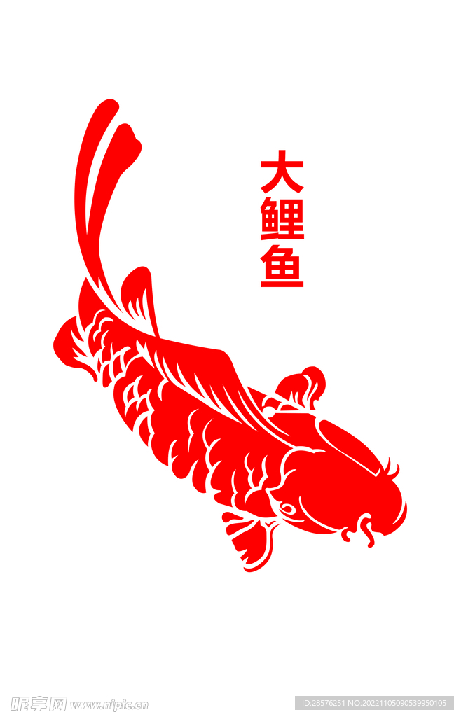 大鲤鱼