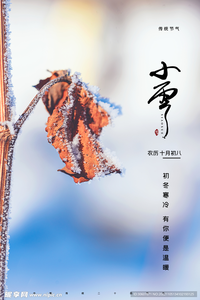 小雪海报