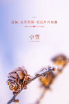 小雪海报
