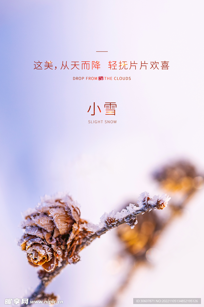 小雪海报