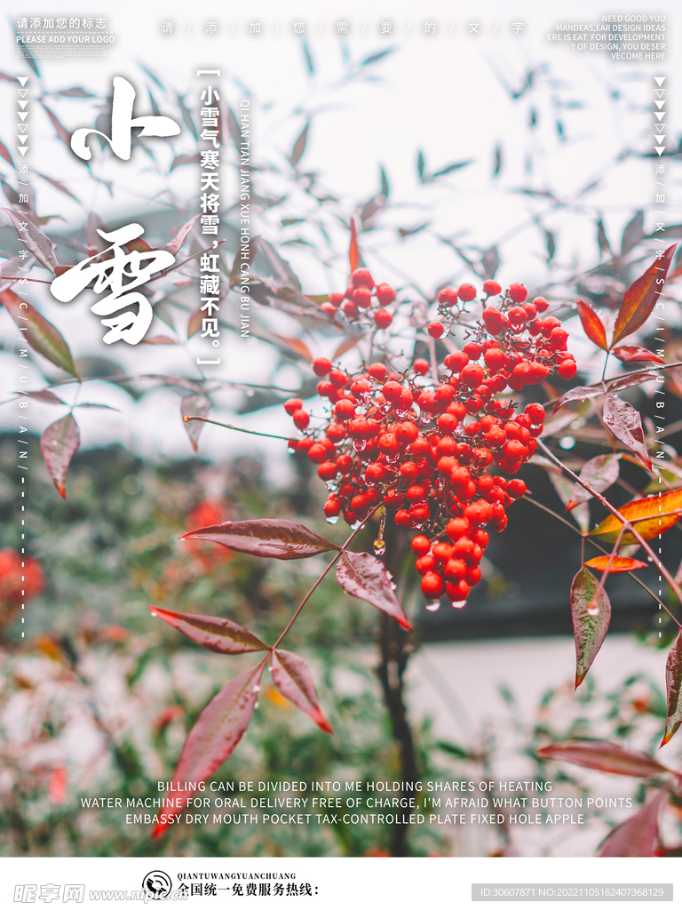 小雪海报