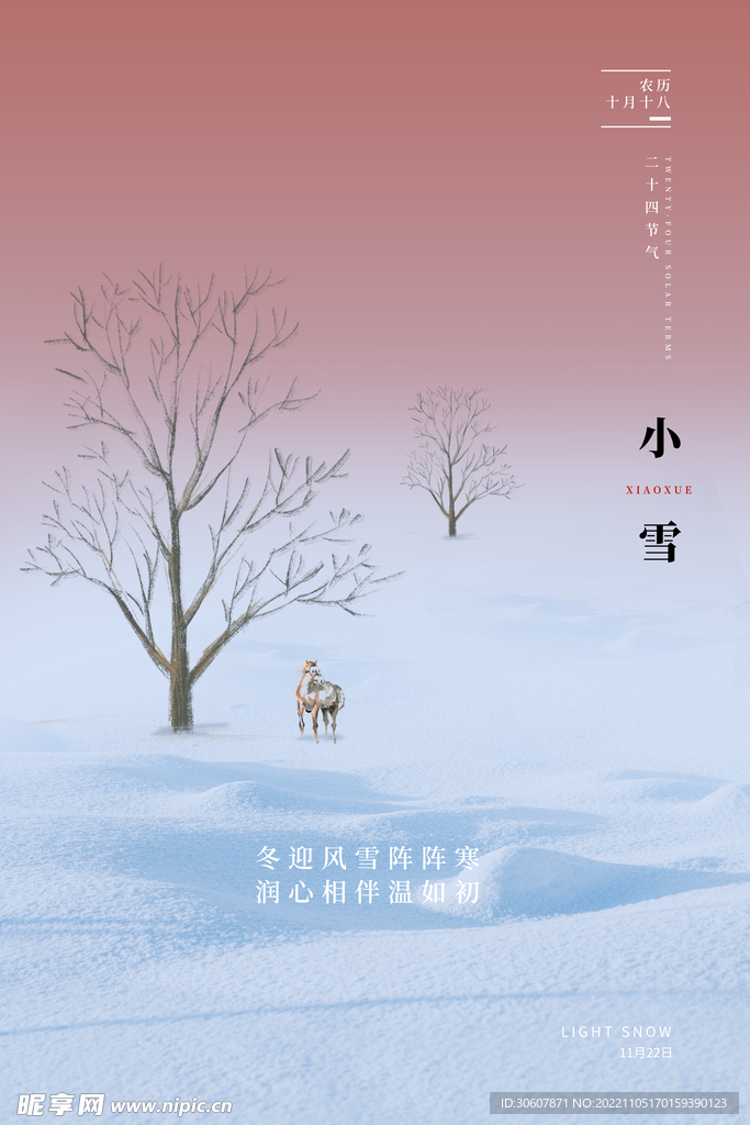 小雪海报