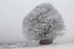 雪景             