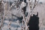 雪景             
