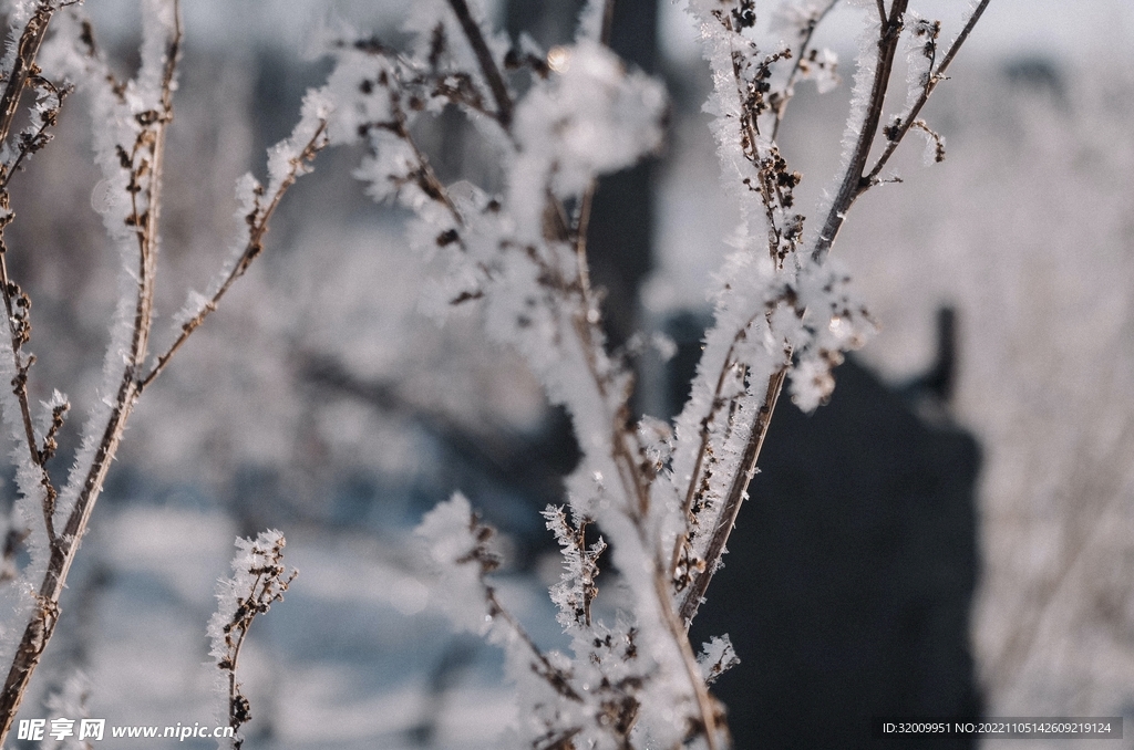 雪景             