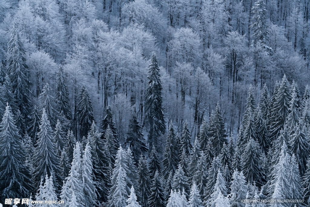 雪景             