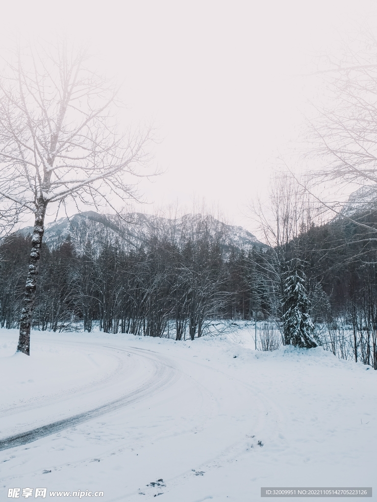 雪景             