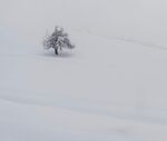 雪景             