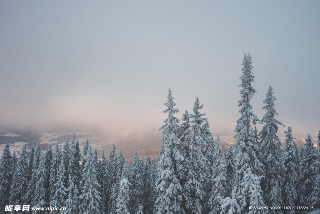 雪景             