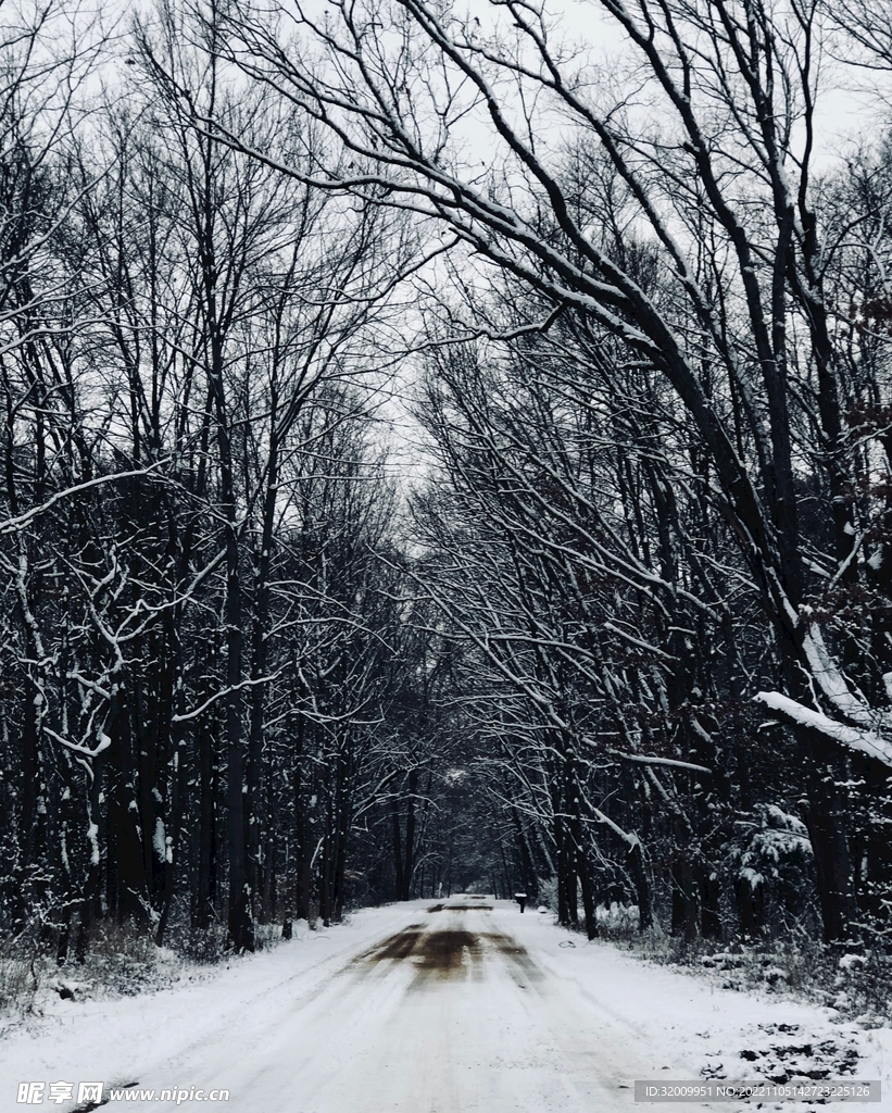 雪景             