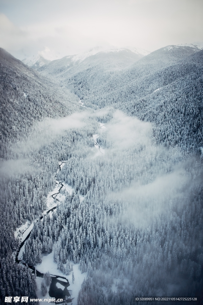 雪景             