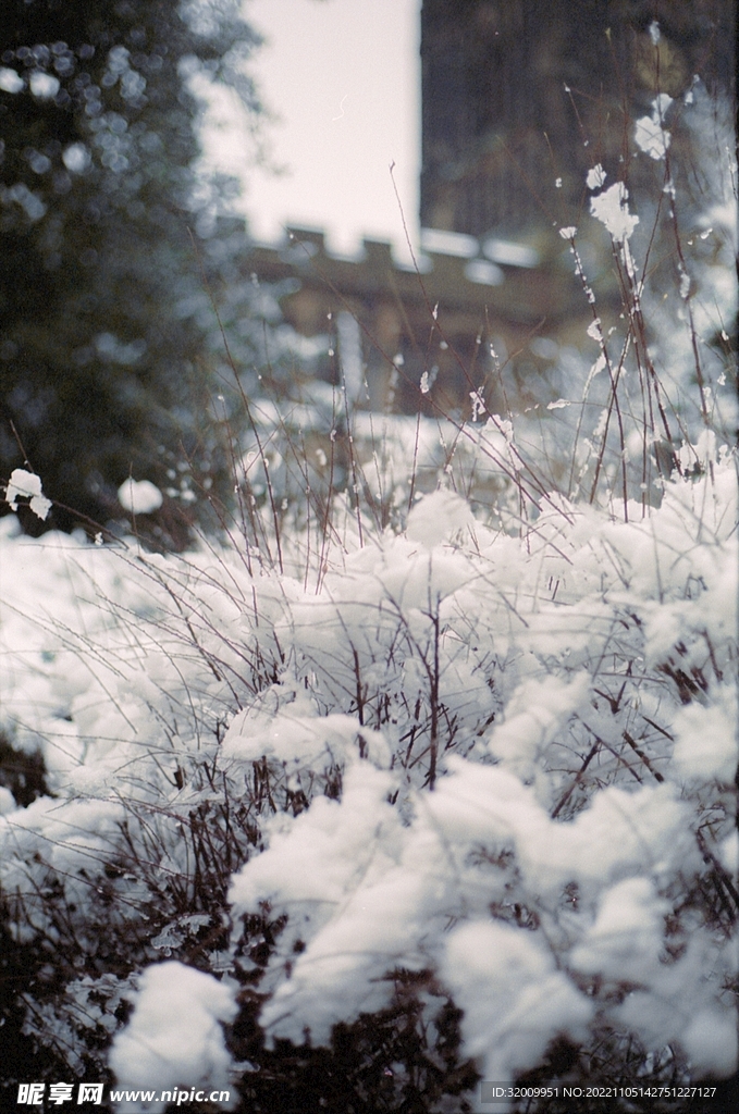 雪景             