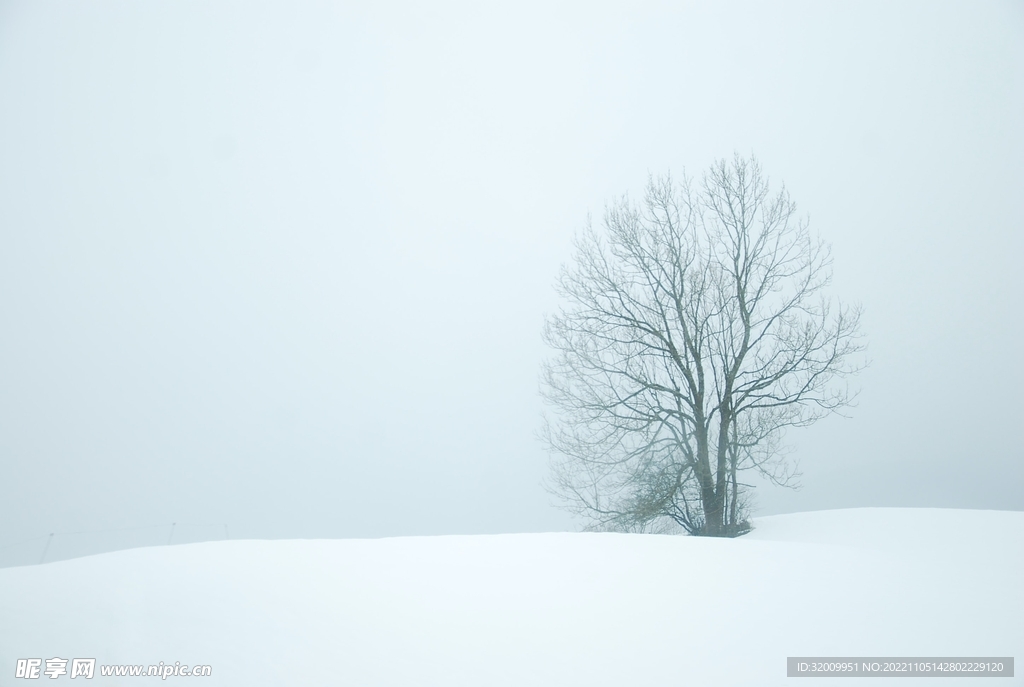 雪景             