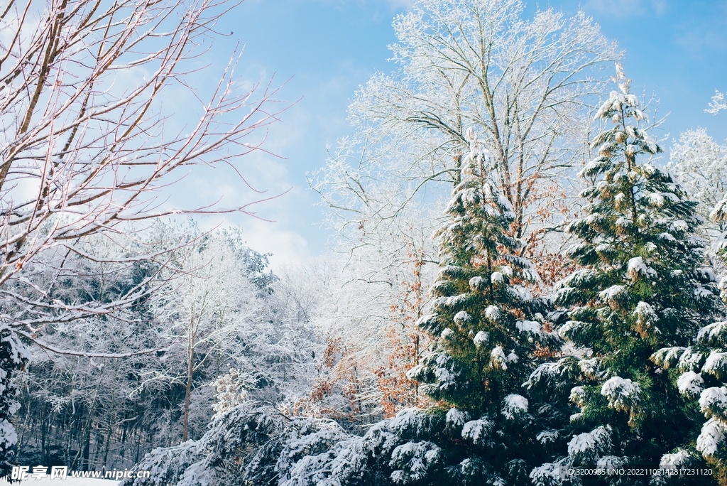 雪景             