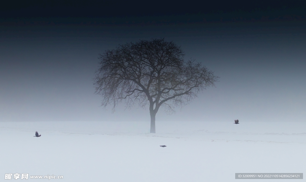 雪景             
