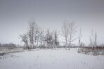 雪景             