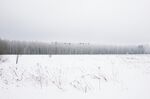 雪景             