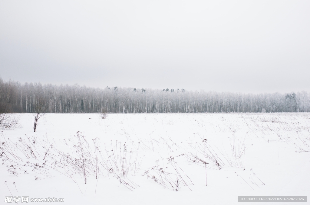 雪景             