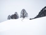 雪景             
