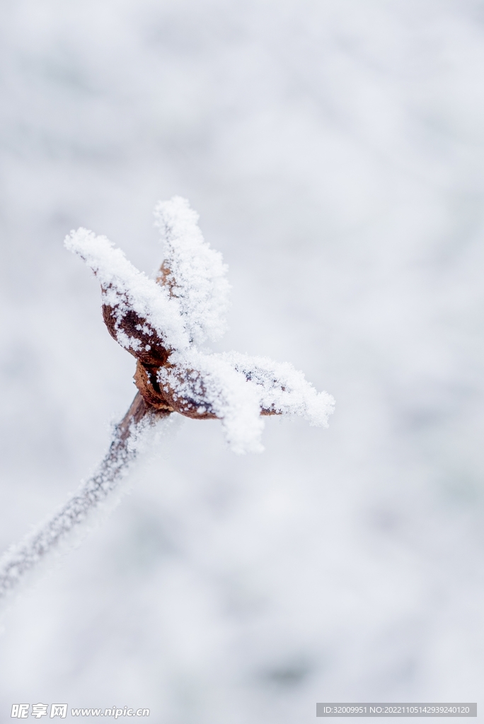 雪景             