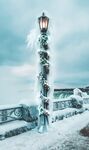 雪景             