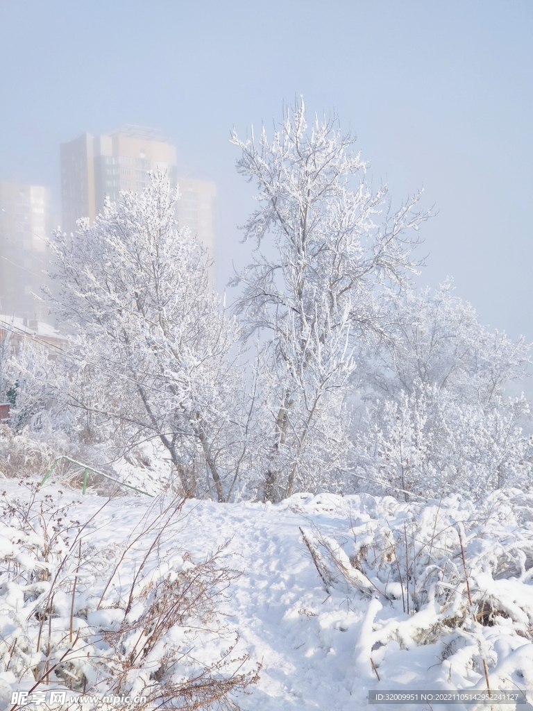 雪景             