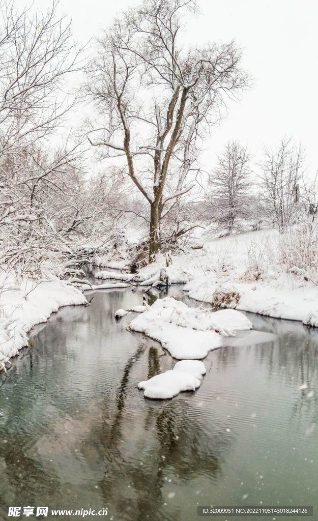 雪景             