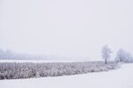雪景             