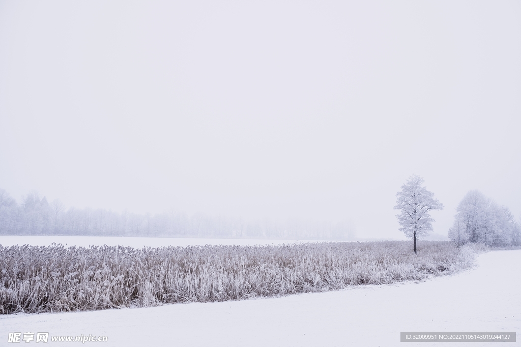 雪景             